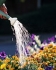 Landscaping Insurance, Odessa, Texas
